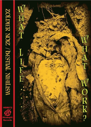 Zoldier Noiz : What Life...What Work?